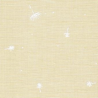 Belfast | 32ct | 2409 | Wish