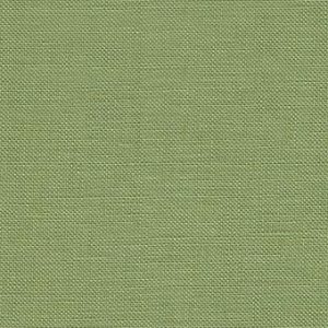 Belfast | 32ct | 6016 | Olive