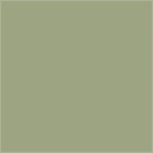 DMC 3053 – orientacyjny podgląd koloru
