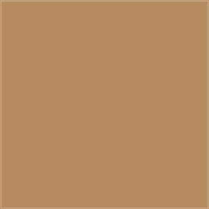 DMC 3828 – orientacyjny podgląd koloru