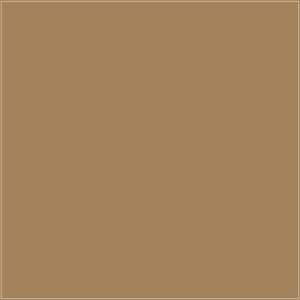 DMC 3863 – orientacyjny podgląd koloru