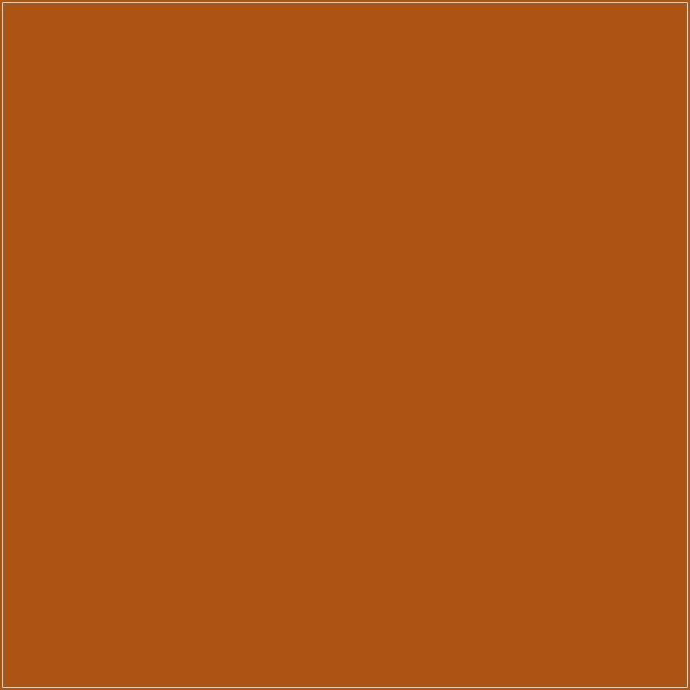 DMC 920 – orientacyjny podgląd koloru