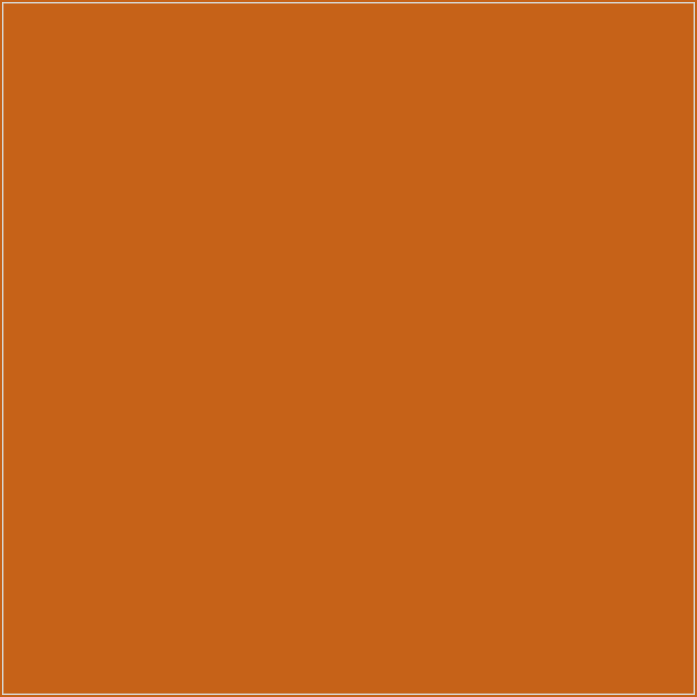 DMC 921 – orientacyjny podgląd koloru