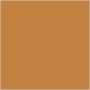 DMC 976 – orientacyjny podgląd koloru